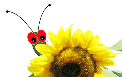 Suebug Logo